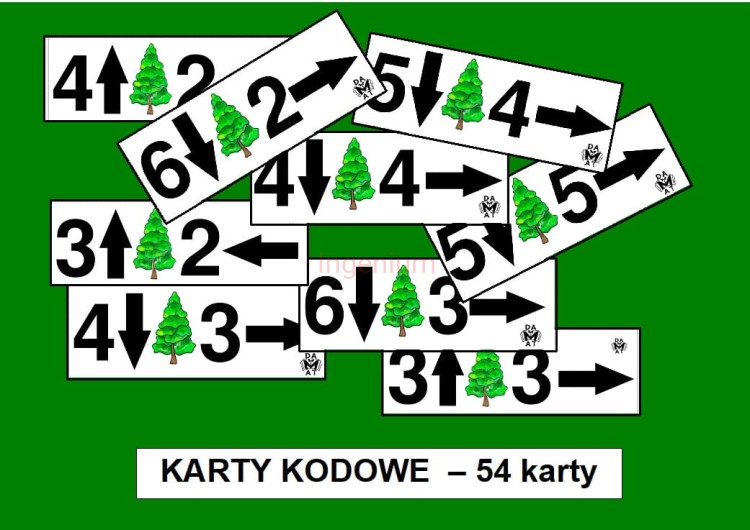 zwiastun karty kodowe.jpg