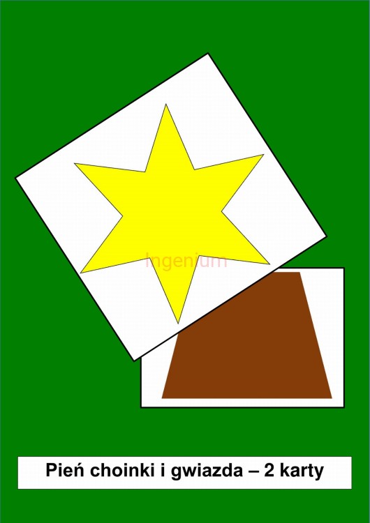 zwiastun pień-i-gwiazda.jpg